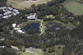 Gallery - aerial view of hunter wetlands by hunter aerial photography services