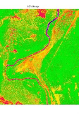 NDVI image